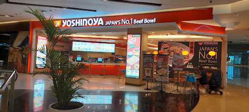 Yoshinoya - Grand City Mall 3