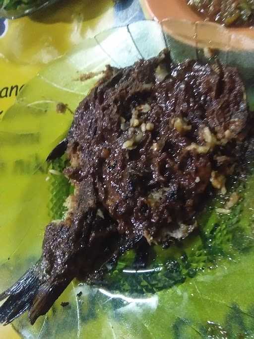 Ikan Bakar Bumbu Lumpur Rokamin 4