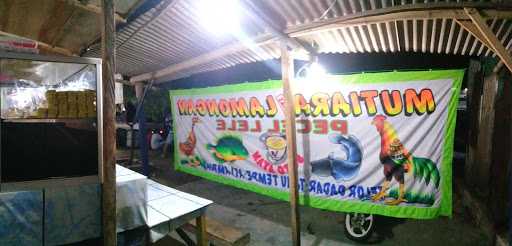 Pecel Lele. Mutiara Khas Lamongan 6