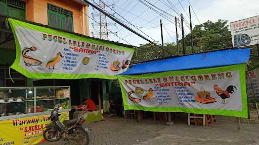 Pecel Lele Satria 2