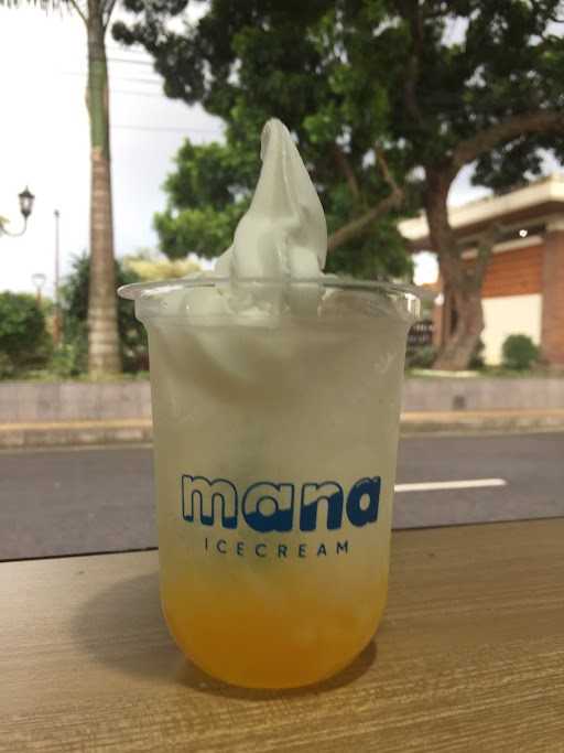 Mana Ice Cream 4