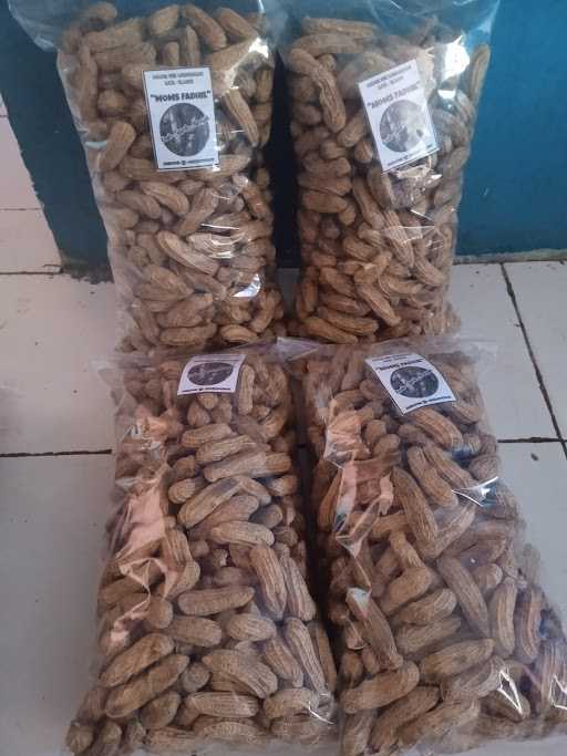 Kacang Albarokah 7