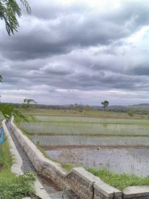 Mie Ayam Mas Bagong 5