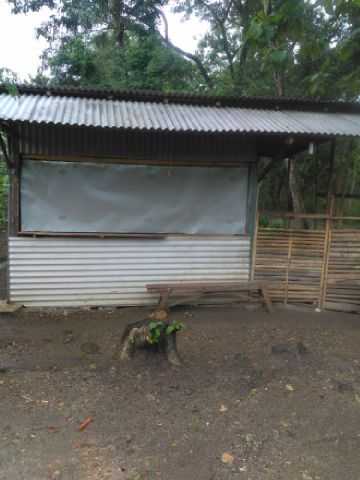 Warung Pecel Mbah Murti 5