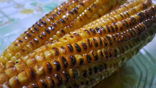 Jagung Bakar Ndeso Db 10