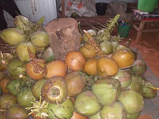 Warung Es Kelapa Muda 3