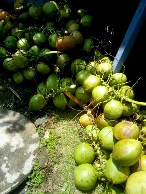 Warung Es Kelapa Muda 6