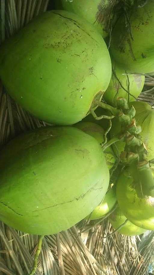 Warung Es Kelapa Muda 4