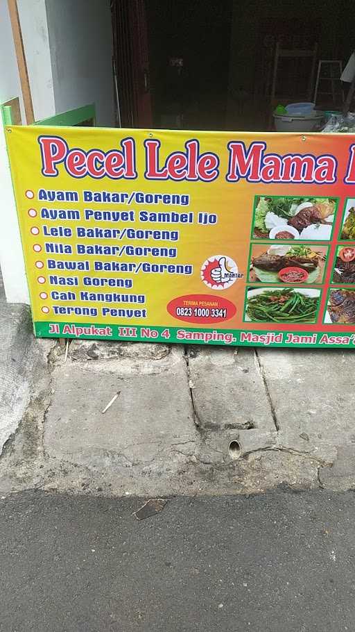 Pecel Lele Mama Egy 4