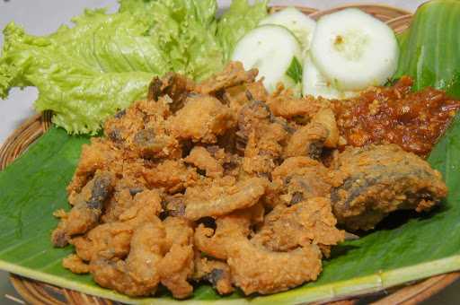 Pecel Lele Ojolali Bp.Sakim 3