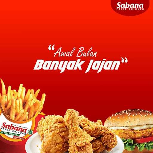 Sabana Fried Chicken 2