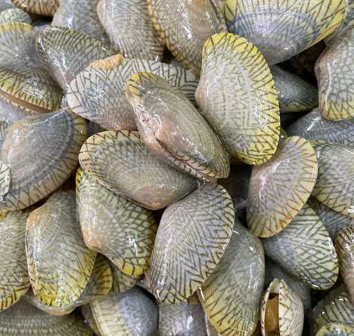 Omah Kerang 4