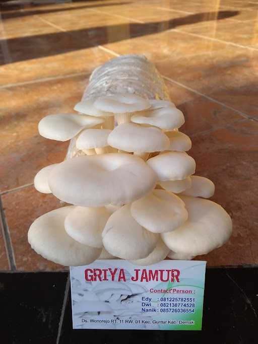 Griya Jamur 5