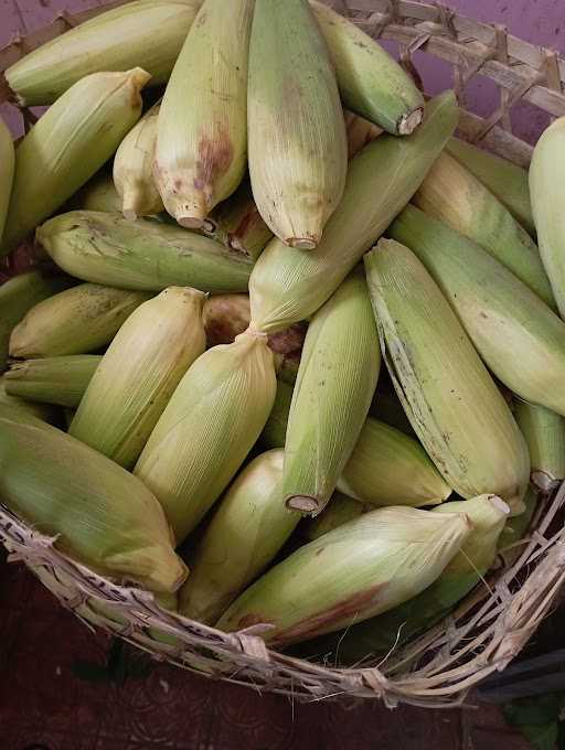 Jagung Bakar Serut Level 1