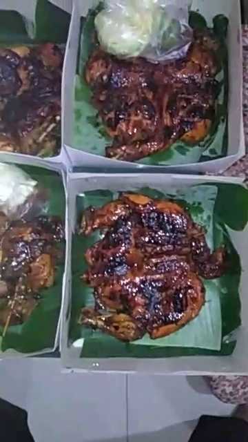 Ayam Blethok 39 Patemon 2