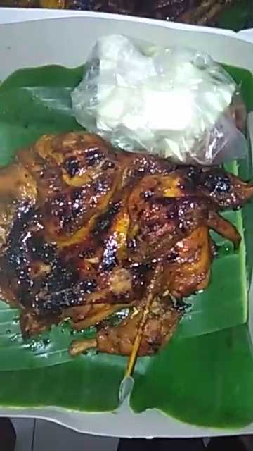 Ayam Blethok 39 Patemon 1