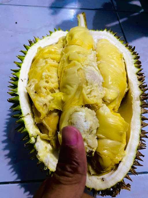 Durian Nusantara 8