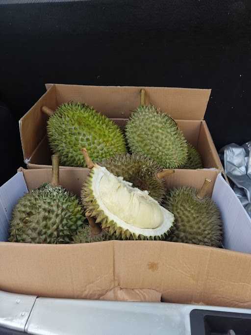 Durian Nusantara 5