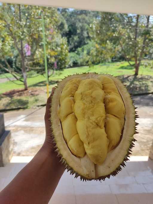 Durian Nusantara 9