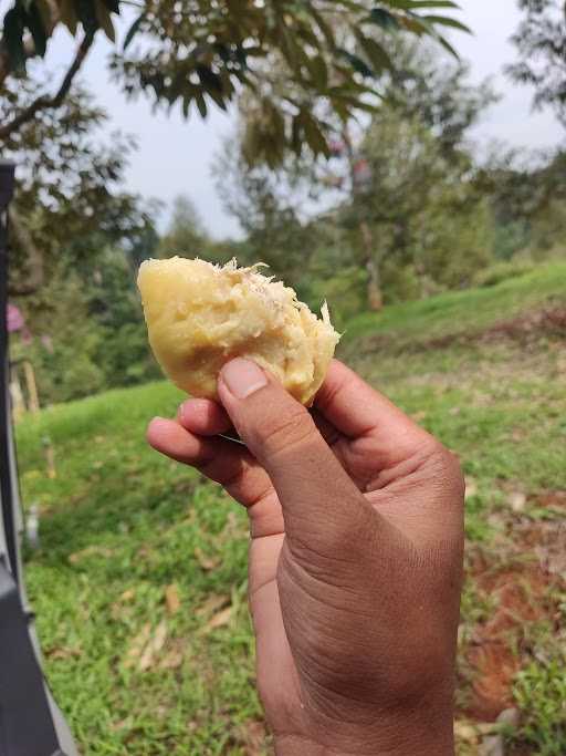 Durian Nusantara 2