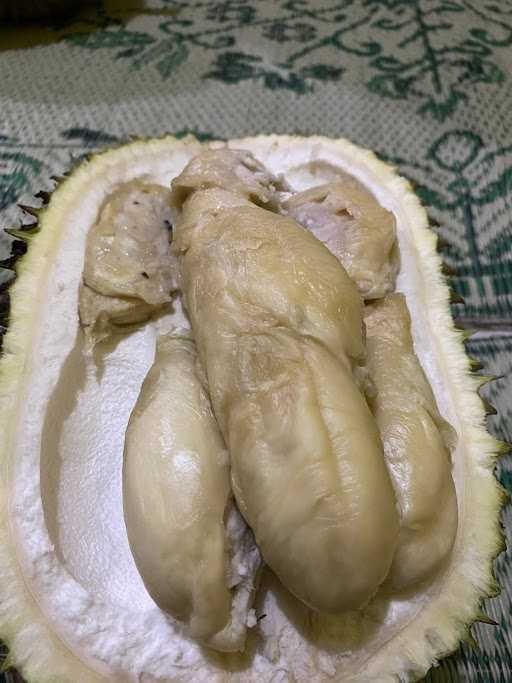 Durian Nusantara 4