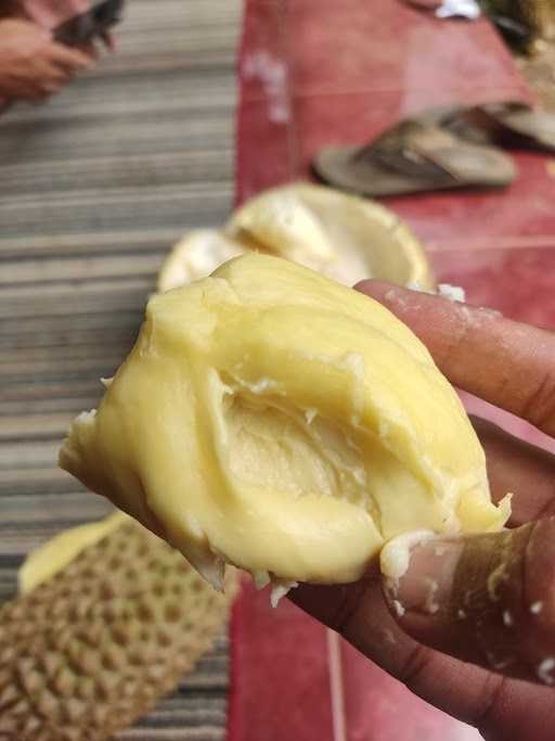 Durian Nusantara 3