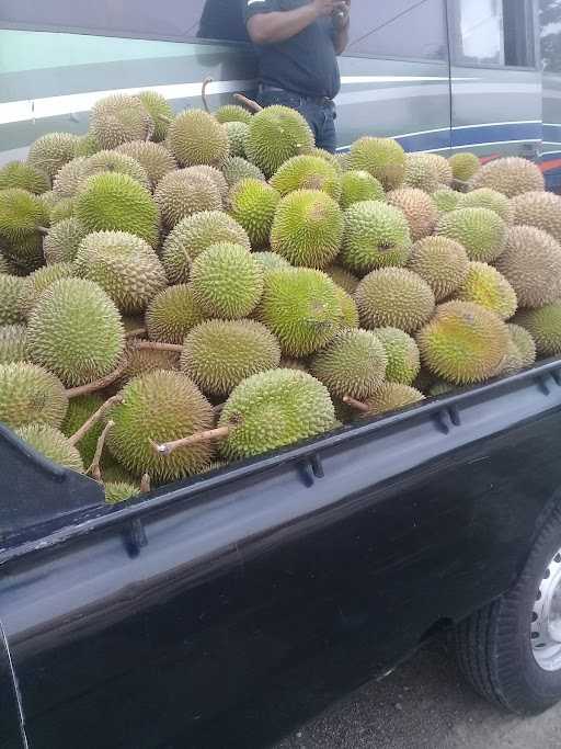 Terminal Durian 9