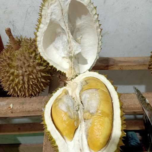 Terminal Durian 1