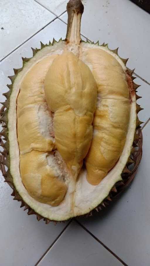 Terminal Durian 4