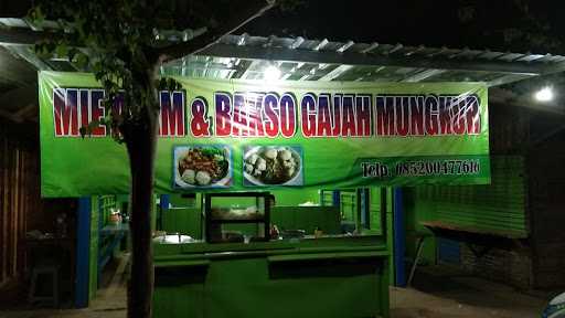 Bakso Gajah Mungkur 6