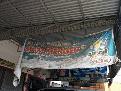 Ayam Klenger 1