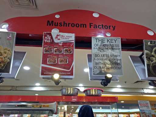 Mushroom Factory 3