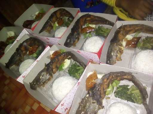 Lesehan Pecel Lele Kang Sur Special Bakar Dan Mangut 5