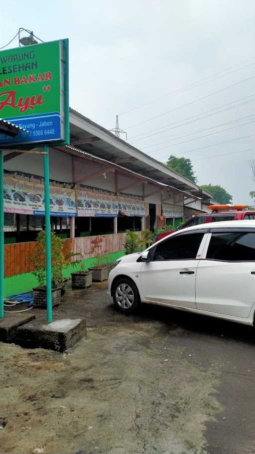 Warung Lesehan Ikan Bakar Ayu 10