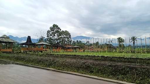 Kafe Sawah Dewi Sri 10