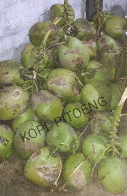 Kopi Pitoeng 9