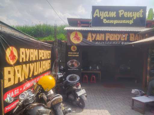 Ayam Penyet Banyuwangi 7