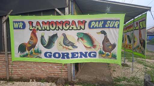 Wr Lamongan Pak Sur 5