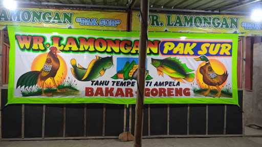 Wr Lamongan Pak Sur 4