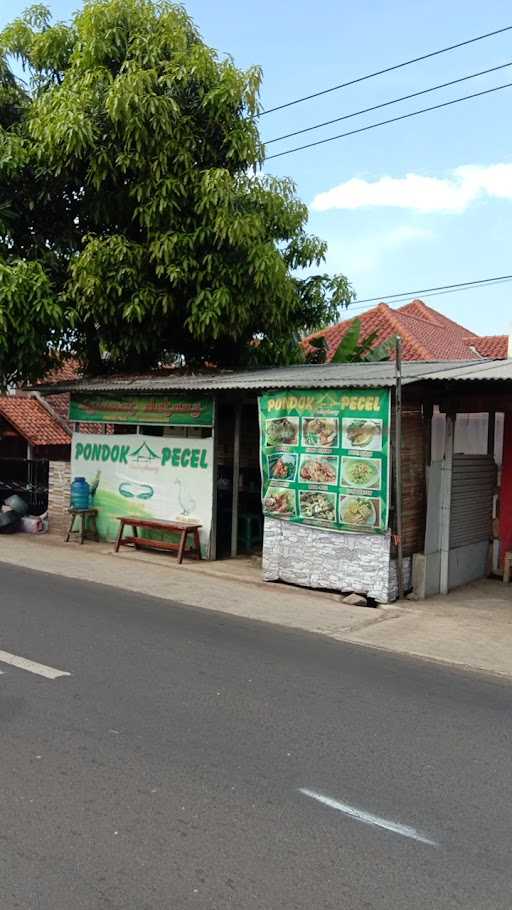 Pecel Lele 212 3