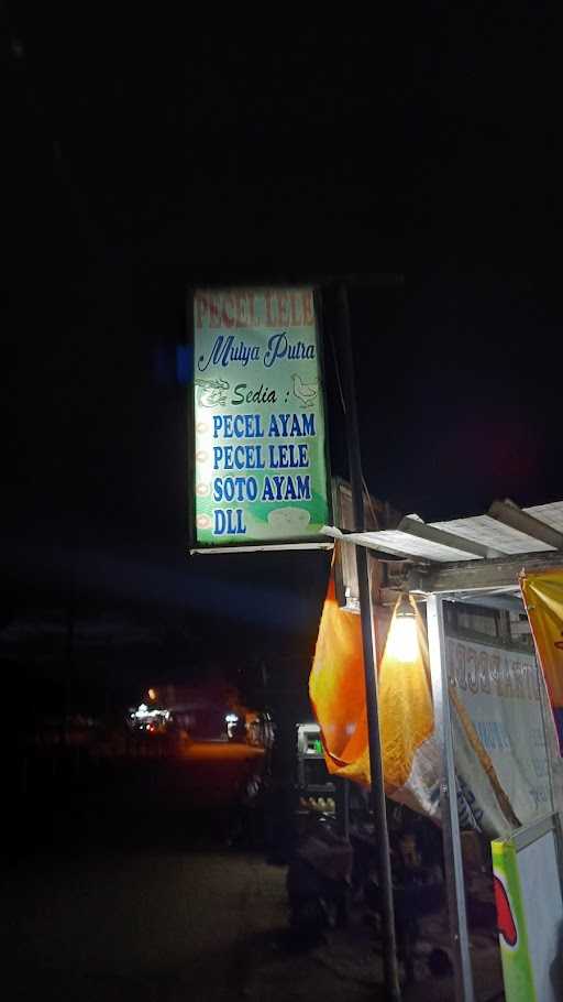 Pecel Lele & Ayam Mulya Putra 3