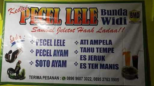 Pecel Lele Bunda Widi 3