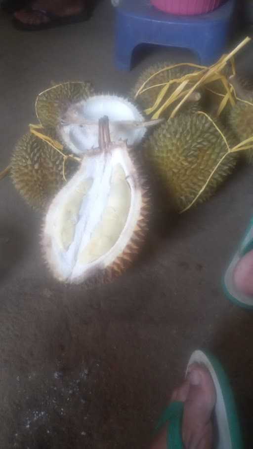 Durian Brongkol Mbah Guru Sardi 1