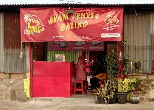 Penyet Baliko 5