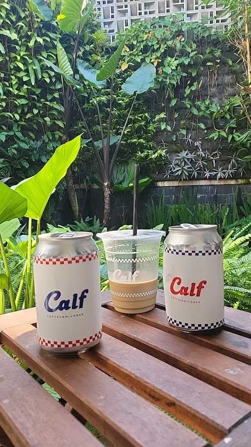 Kopi Calf Jatikramat 6