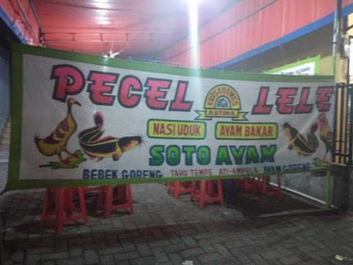 Pecel Lele Astina Jatibening 7