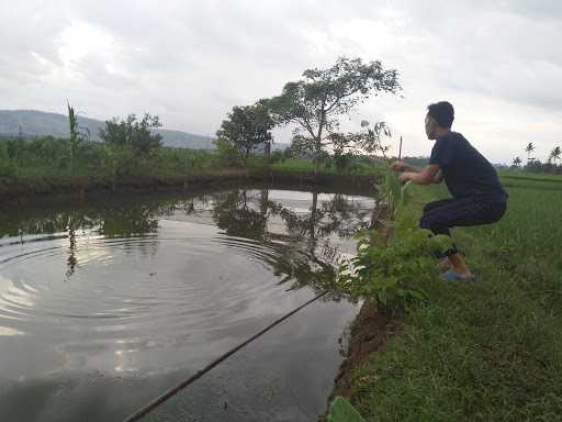 Pemancingan Dan Kuliner Sapa Nyana 10