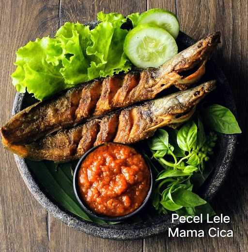 Pecel Lele Mama Cica 5