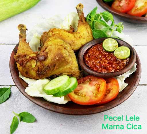 Pecel Lele Mama Cica 8