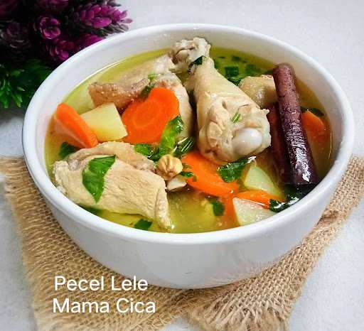 Pecel Lele Mama Cica 7